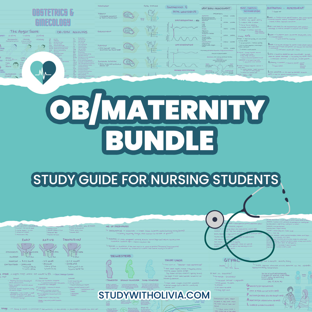 Maternity study guide for nursing students, part of the obstetrics bundle.